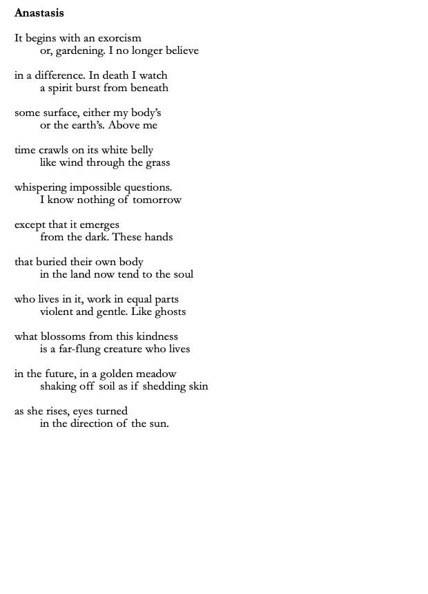 Title: Anastasis

Poem: It begins with an exorcism
	or, gardening. I no longer believe

in a difference. In death I watch
	a spirit burst from beneath 

some surface, either my body’s 
	or the earth’s. Above me 

time crawls on its white belly
	like wind through the grass

whispering impossible questions.
	I know nothing of tomorrow
	
except that it emerges 
	from the dark. These hands

that buried their own body
	in the land now tend to the soul

who lives in it, work in equal parts
	violent and gentle. Like ghosts 

what blossoms from this kindness 
	is a far-flung creature who lives

in the future, in a golden meadow
	shaking off soil as if shedding skin

as she rises, eyes turned
	in the direction of the sun.
